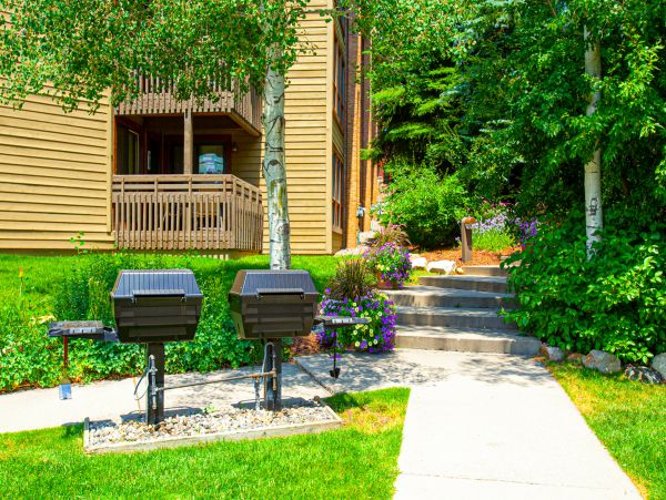 Steamboat Springs Home 1020110