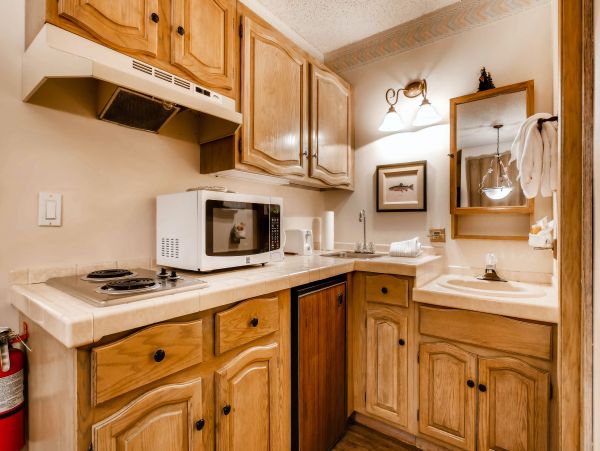 Steamboat Springs Home 1020117
