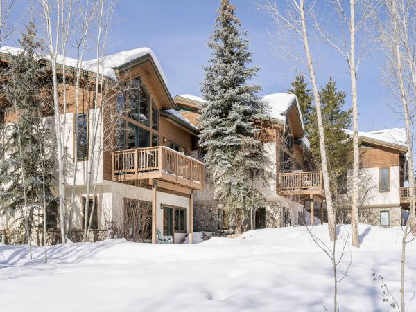 Steamboat Springs Home 1020119