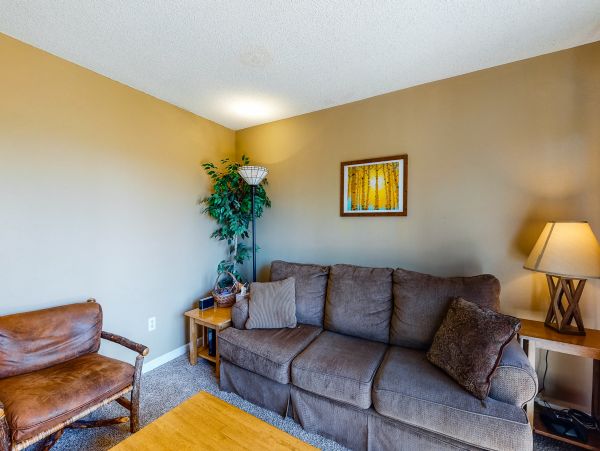 Steamboat Springs Home 1020123