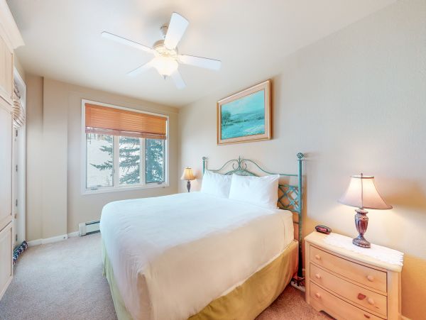 Steamboat Springs Home 1020128