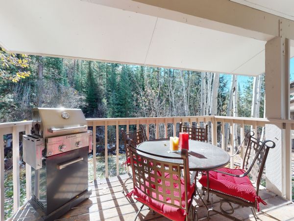 Steamboat Springs Home 1020131