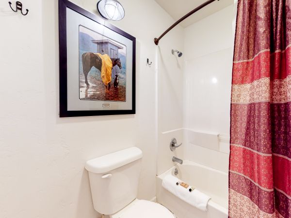 Steamboat Springs Home 1020133
