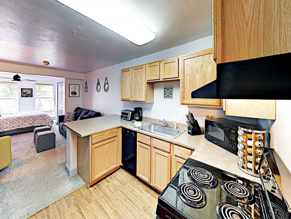 Steamboat Springs Home 1020135