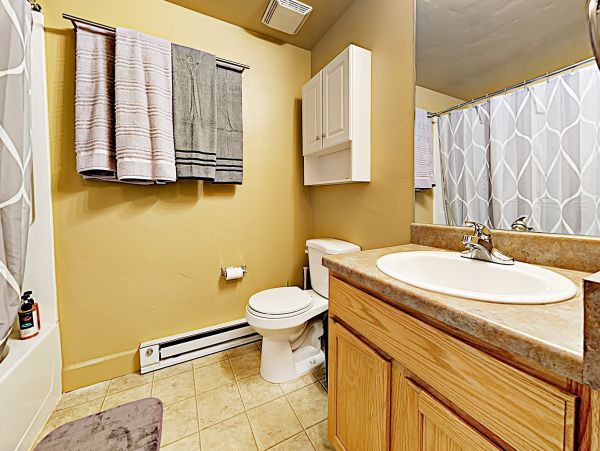 Steamboat Springs Home 1020135