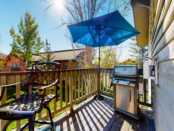 Steamboat Springs Home 1020137