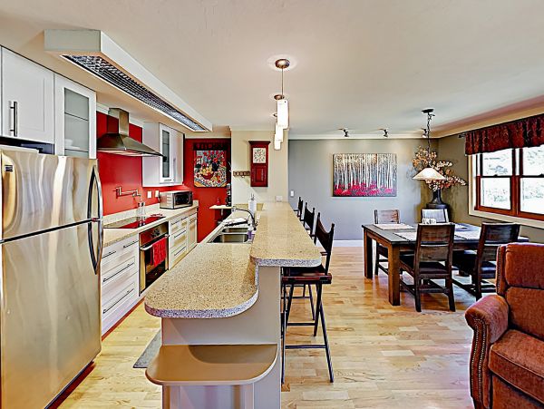 Steamboat Springs Home 1020138