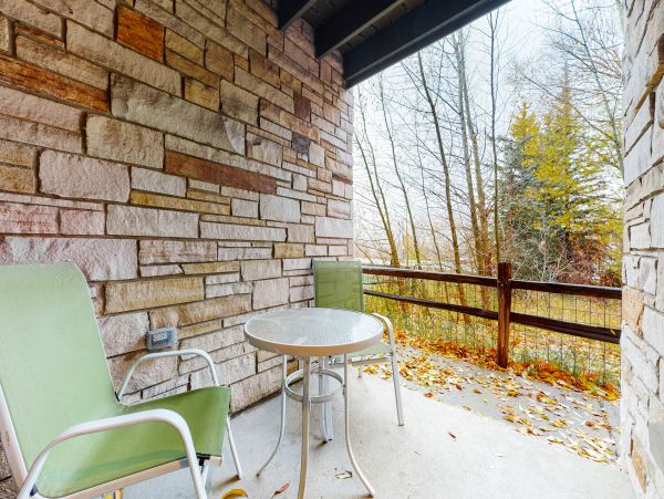 Steamboat Springs Home 1020139