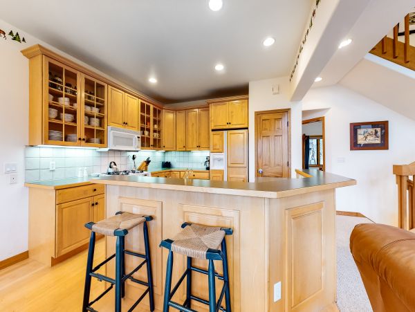 Steamboat Springs Home 1020144