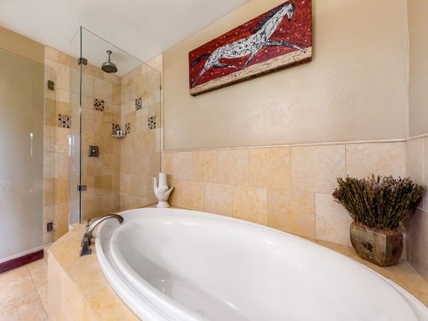 Steamboat Springs Home 1020146