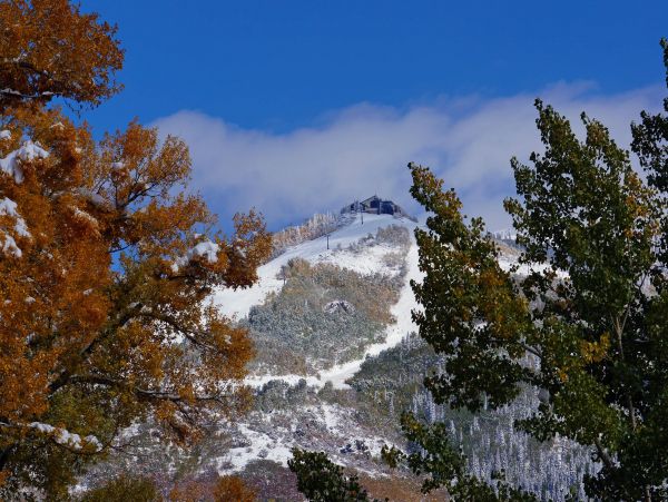 Steamboat Springs Home 1020147