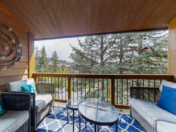Steamboat Springs Home 1020151