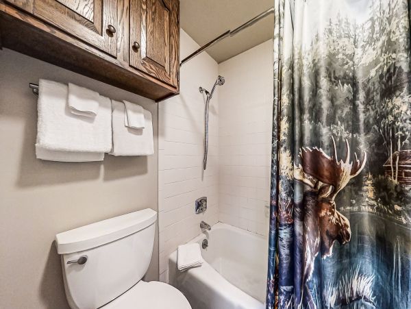 Steamboat Springs Home 1020151