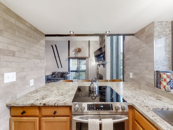 Steamboat Springs Home 1020158