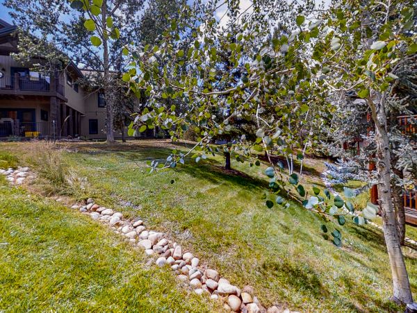 Steamboat Springs Home 1020160
