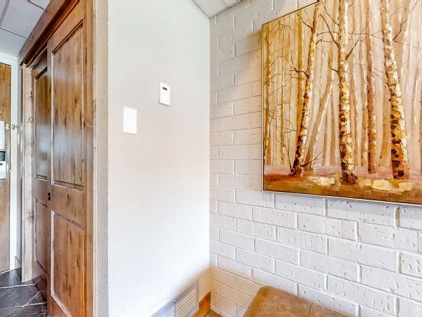 Steamboat Springs Home 1020161
