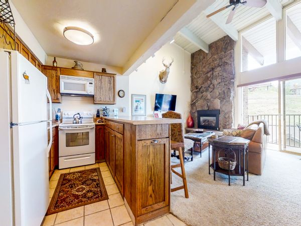 Steamboat Springs Home 1020163