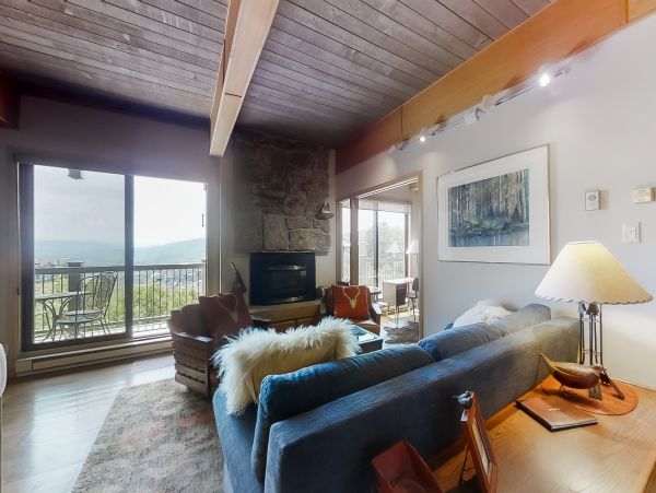 Steamboat Springs Home 1020164