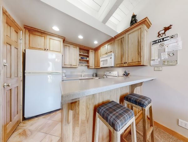 Steamboat Springs Home 1020165