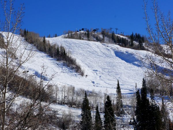 Steamboat Springs Home 1020165