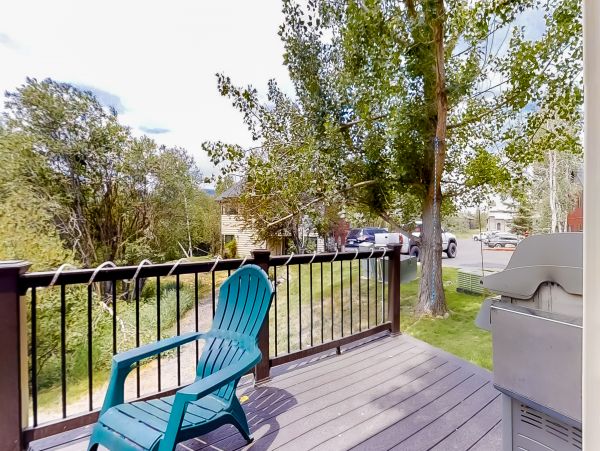Steamboat Springs Home 1020166