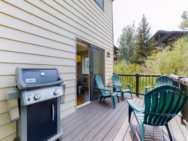 Steamboat Springs Home 1020166