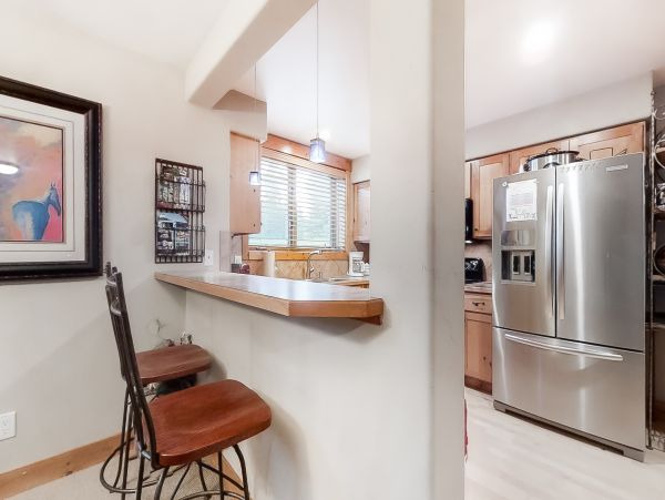 Steamboat Springs Home 1020169