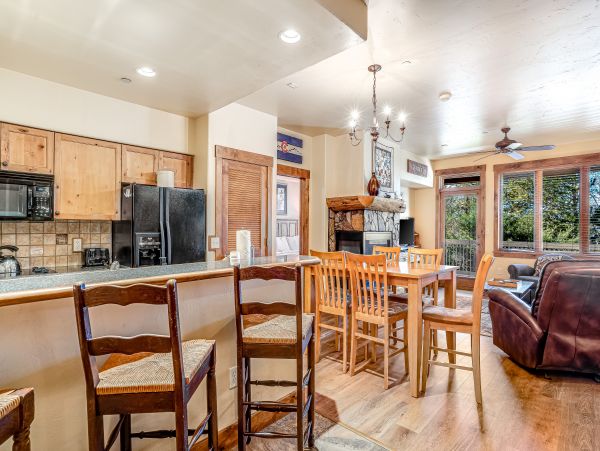 Steamboat Springs Home 1020173