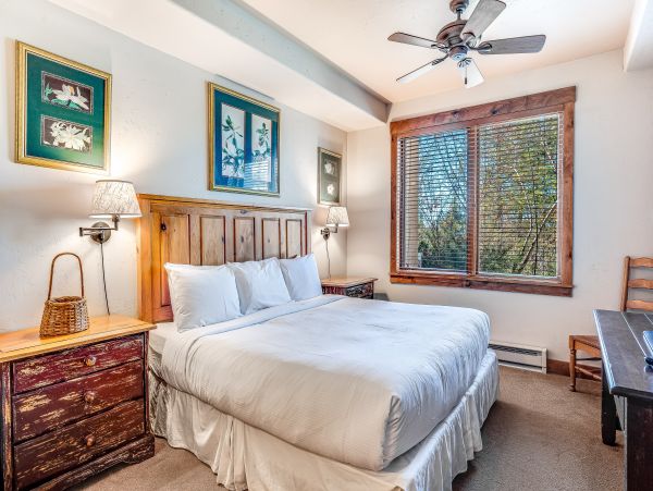 Steamboat Springs Home 1020173