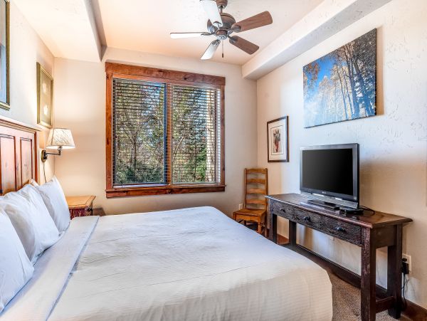 Steamboat Springs Home 1020173