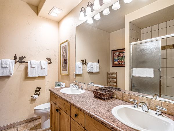 Steamboat Springs Home 1020173