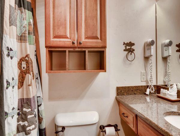 Steamboat Springs Home 1020175