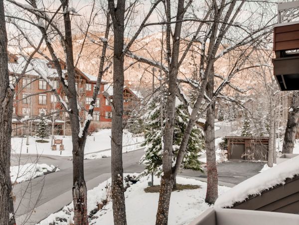 Steamboat Springs Home 1020175