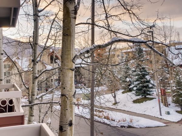 Steamboat Springs Home 1020175