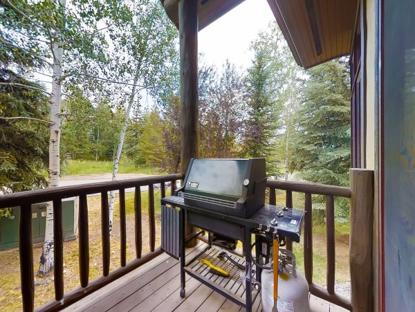 Steamboat Springs Home 1020176