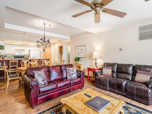 Steamboat Springs Home 1020183