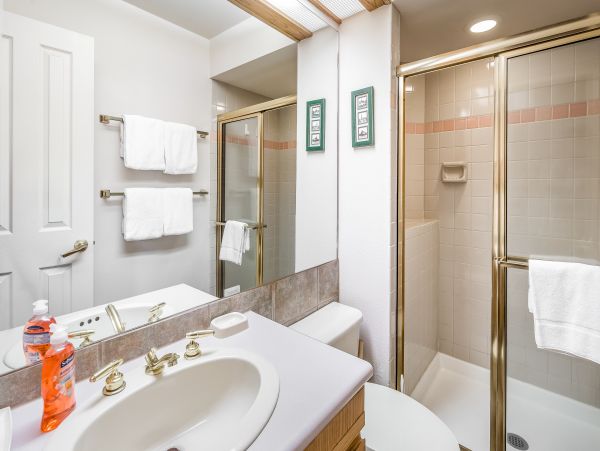 Steamboat Springs Home 1020183