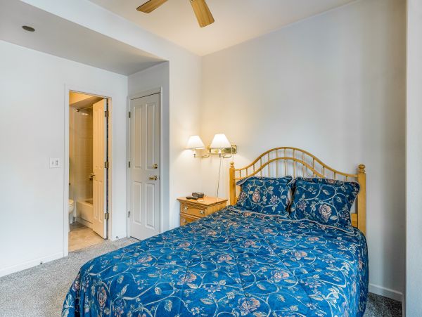 Steamboat Springs Home 1020183