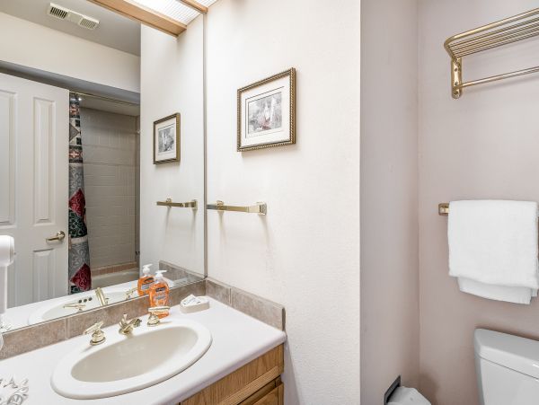 Steamboat Springs Home 1020183
