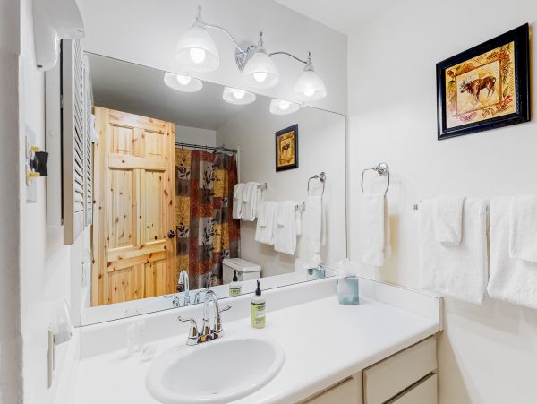 Steamboat Springs Home 1020184
