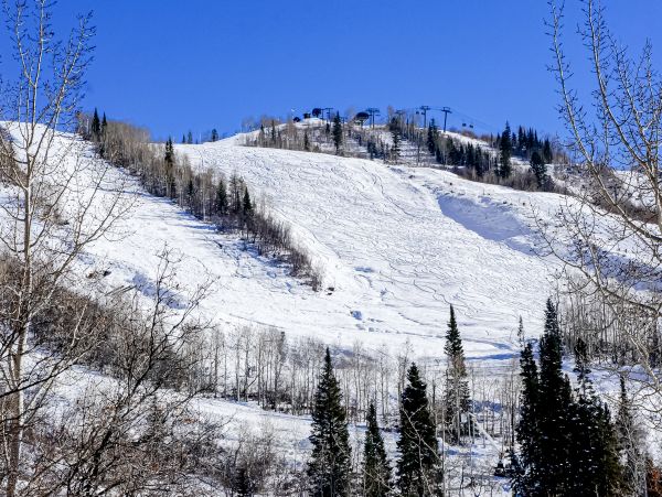Steamboat Springs Home 1020184