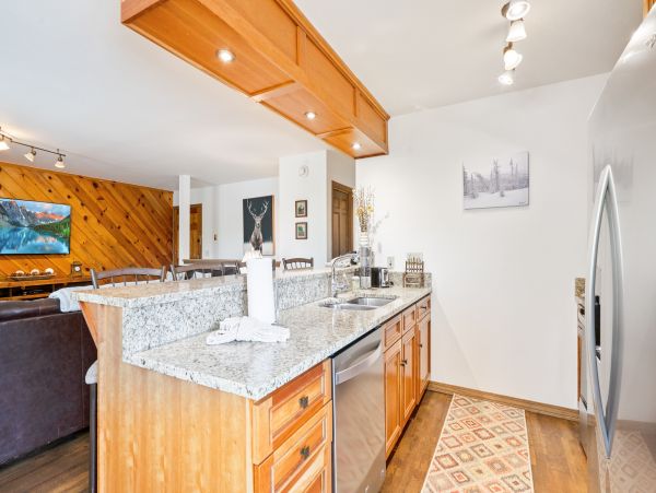 Steamboat Springs Home 1020186