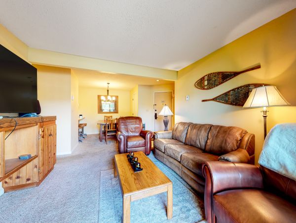 Steamboat Springs Home 1020187