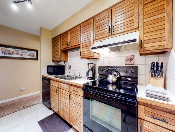 Steamboat Springs Home 1020187