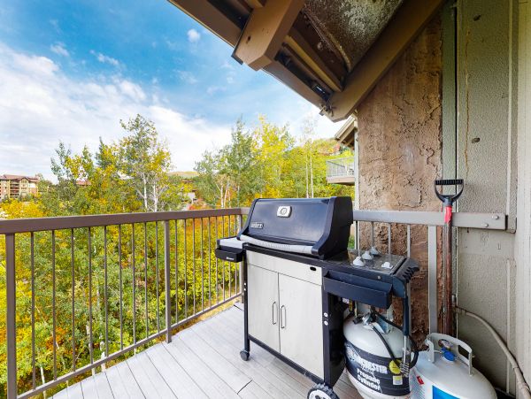 Steamboat Springs Home 1020189