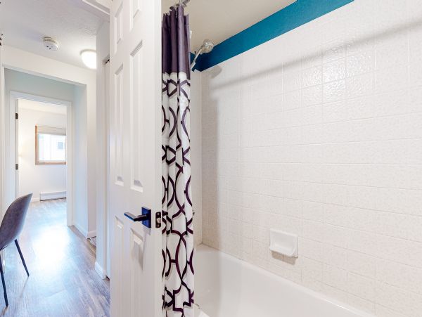 Steamboat Springs Home 1020193