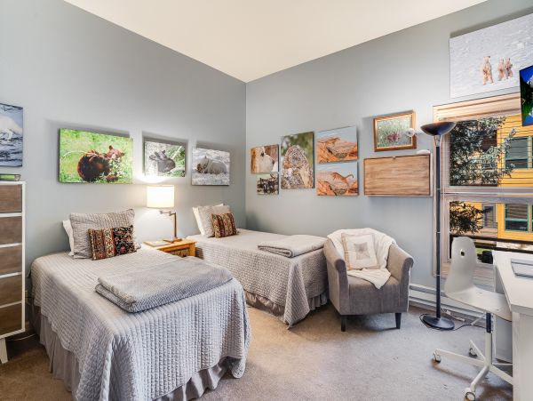 Steamboat Springs Home 1020197