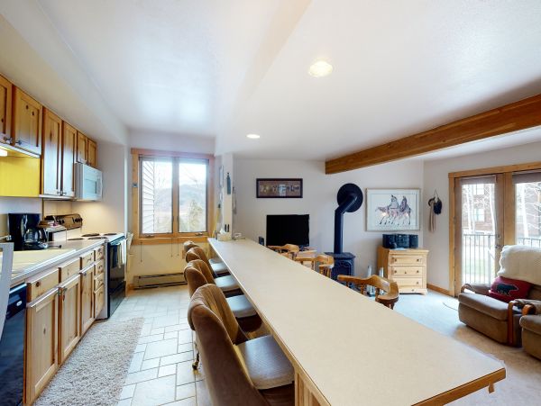 Steamboat Springs Home 1020198