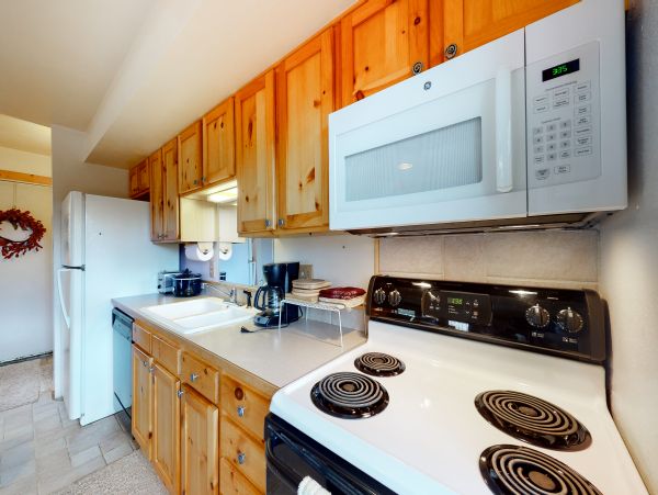 Steamboat Springs Home 1020198