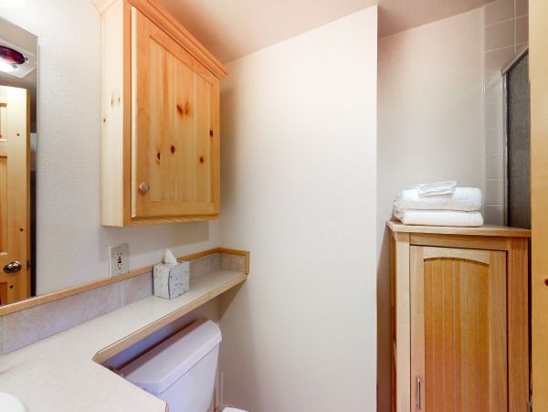 Steamboat Springs Home 1020198